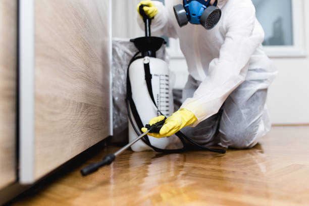 Best Cockroach Control Services  in Lakeside, VA