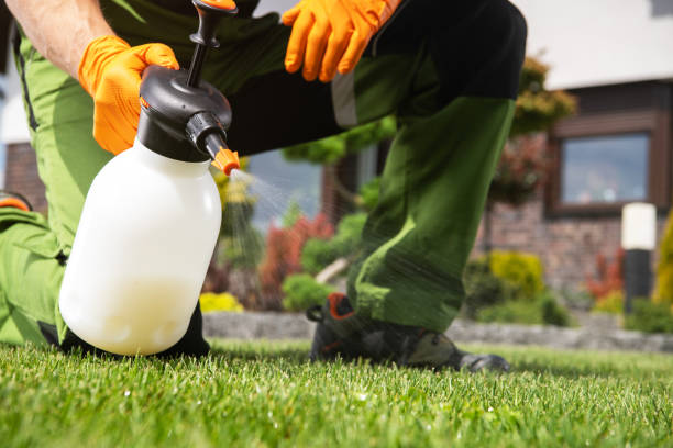 Best Mosquito Control Services  in Lakeside, VA
