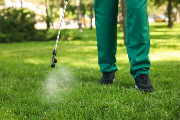 Best Termite Control Services  in Lakeside, VA