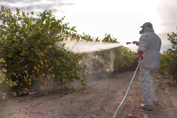 Best Exterminator Services  in Lakeside, VA