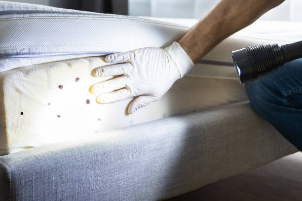 Best Pest Removal Services  in Lakeside, VA