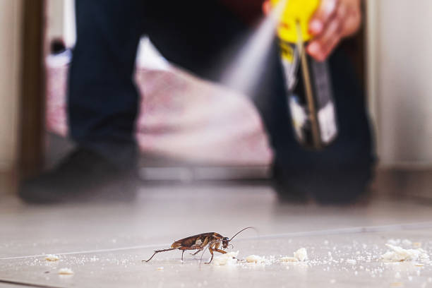 Best Wasp Removal Services  in Lakeside, VA