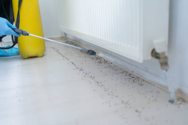 Best Bed Bug Extermination  in Lakeside, VA